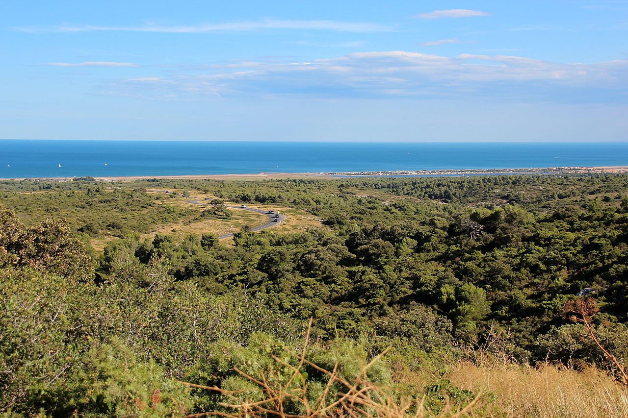 Narbonne and its beaches - Les Canalous