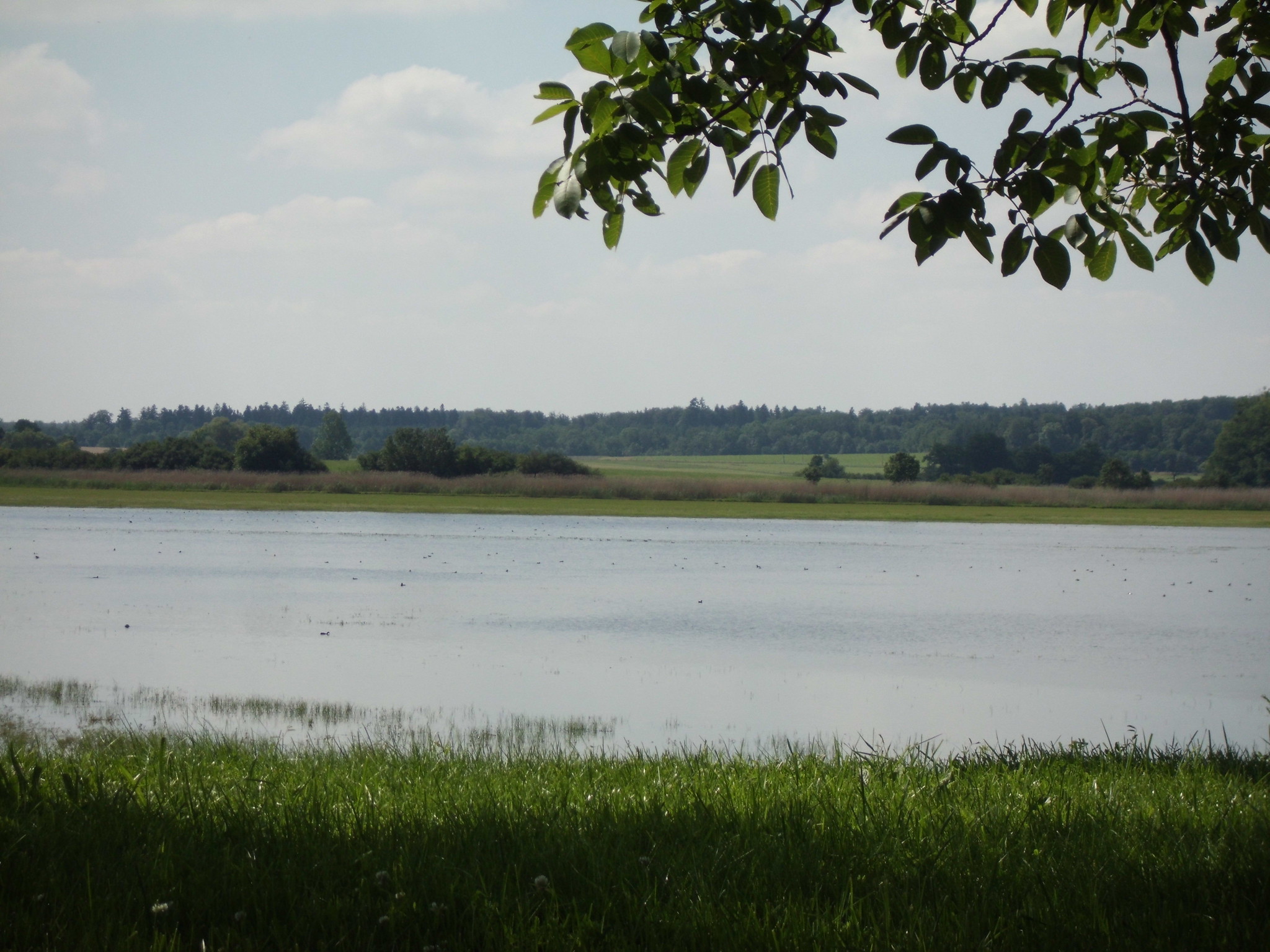 Etang de Lindre - © Ruben Holthuijsen